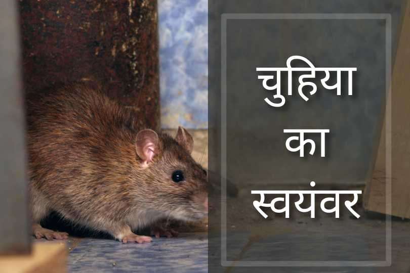 चुहिया का स्वयंवर